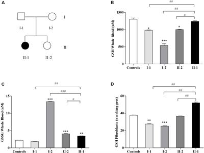 Nuclear Factor Erythroid 2-Related Factor 2 Activation Might Mitigate Clinical Symptoms in Friedreich’s Ataxia: Clues of an “Out-Brain Origin” of the Disease From a Family Study